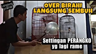 Download lagu OVERCOMING ACUTE OVER-LUST IN MURAI BATU //Most Effective mp3 Download lagu OVERCOMING ACUTE OVER-LUST IN MURAI BATU //Most Effective mp3