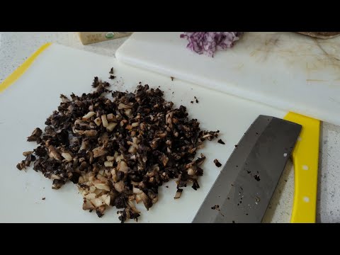 Mushroom Sauce | 05.03.2023