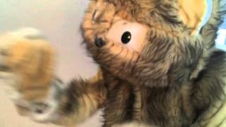 Dog Chocolate - 'Wish For A Cat' [OFFICIAL VIDEO]