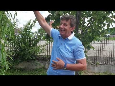 Ion Gîrleanu, primar comuna Bogaţi, iulie 2020