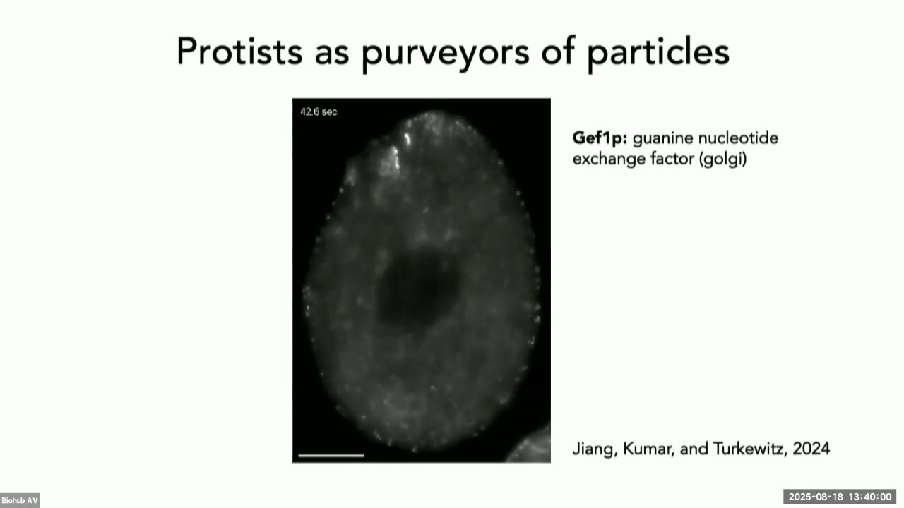 Frontiers in Comparative Systems Virology Symposium: Nels Elde
