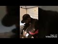 New Compilation Of Riky Ricks Dance Moves 2017