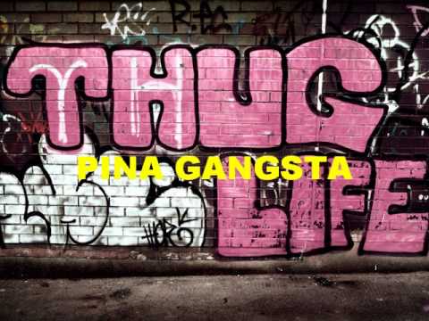 Pina-G - encomenda bu caxon