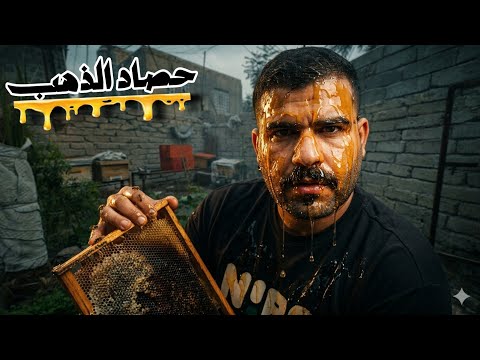 انتاج مذهل في غرفة الطيور / عسل يعادل الذهب 