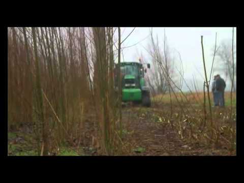 Demonstratie Korte Omloophout Lochristi