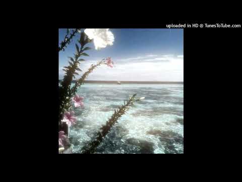 [FREE] skele x shinigami x owl city / acoustic Type Beat - Photograph (Prod.2001 x Jolst)