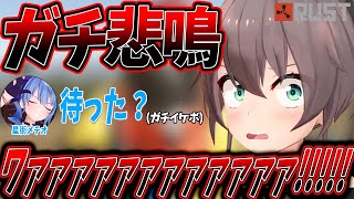 【RUST】唐突に現れる星街メテオにガチ悲鳴を上げる夏色まつりWWWWWWWWWW【ホロライブ/星街メテオ/星街すいせい/夏色まつり/切り抜き】