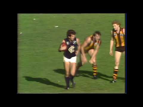 Wayne Johnston highlights 1983 Round 20