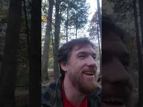 The Importance Of Nature