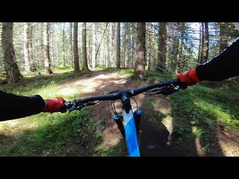 Tahko Bike Park - Brown Pow
