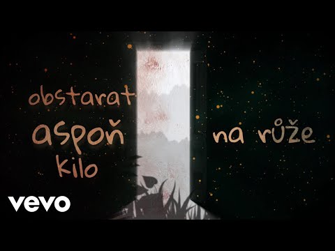 David Stypka, Bandjeez - Růže (Lyric Video)