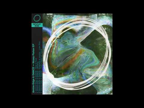 Amine Edge & DANCE - Wilding - DESOLAT 080