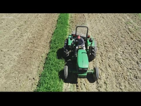 Pandemic causes South Carolina farmer to expand his reach