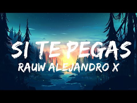 Rauw Alejandro x Miguel Bose - SI TE PEGAS  | 30 Mins Chill Music
