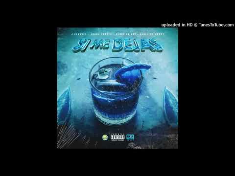 J Alvarez Ft. Jonna Torres, Persa La Voz, Carlitos Rossy - Si Me Dejas