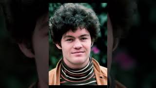 The Monkees - Micky Dolenz - Don't Say Nothin' Bad (About My Baby)