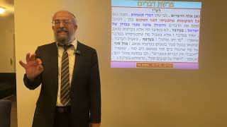 Parashat Devarim - the sin of the spies the ninth day of Av - Rabbi Yinon Kalazan (הרב ינון קלזאן) - התמונה מוצגת ישירות מתוך אתר האינטרנט יוטיוב. זכויות היוצרים בתמונה שייכות ליוצרה. קישור קרדיט למקור התוכן נמצא בתוך דף הסרטון