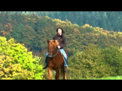 Mit Alina in der Eifel :)