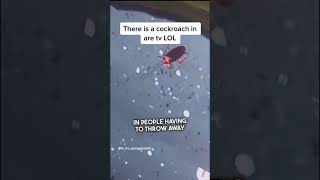 Download lagu Periksa TV Anda untuk melihat apakah ada semut 😳 mp3