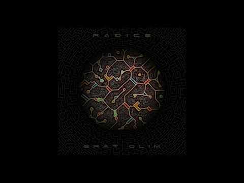 Radice - Inner world