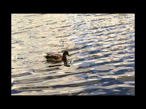 Ei lisiä kuvi kun kävin pyöräilemässä