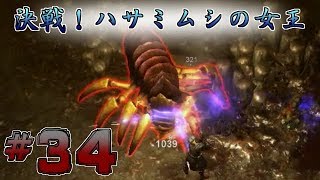 【実況】レア武器掘りがしたい二人の【GrimDawn】#34