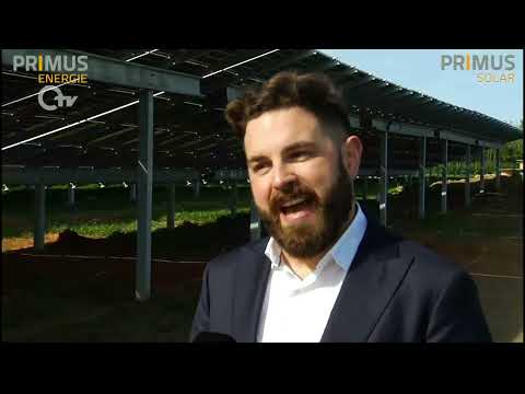Neuer Solarpark der Primus Energie GmbH produziert Strom für 500 Haushalte in Neustadt a.d. Waldnaab