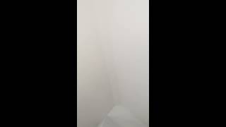 Meclisinde mail oldum ben bir kaši karaya