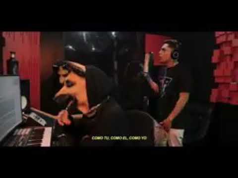 Los perros se enamoran