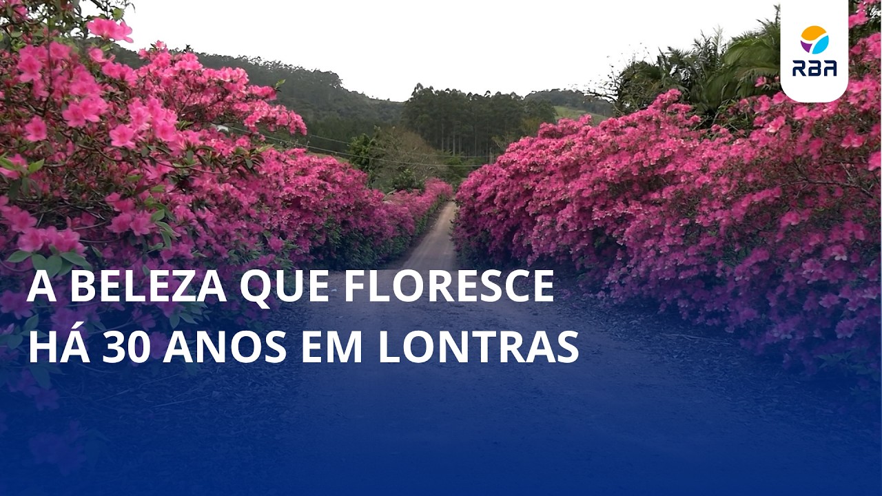 A beleza que floresce há 30 anos em Lontras