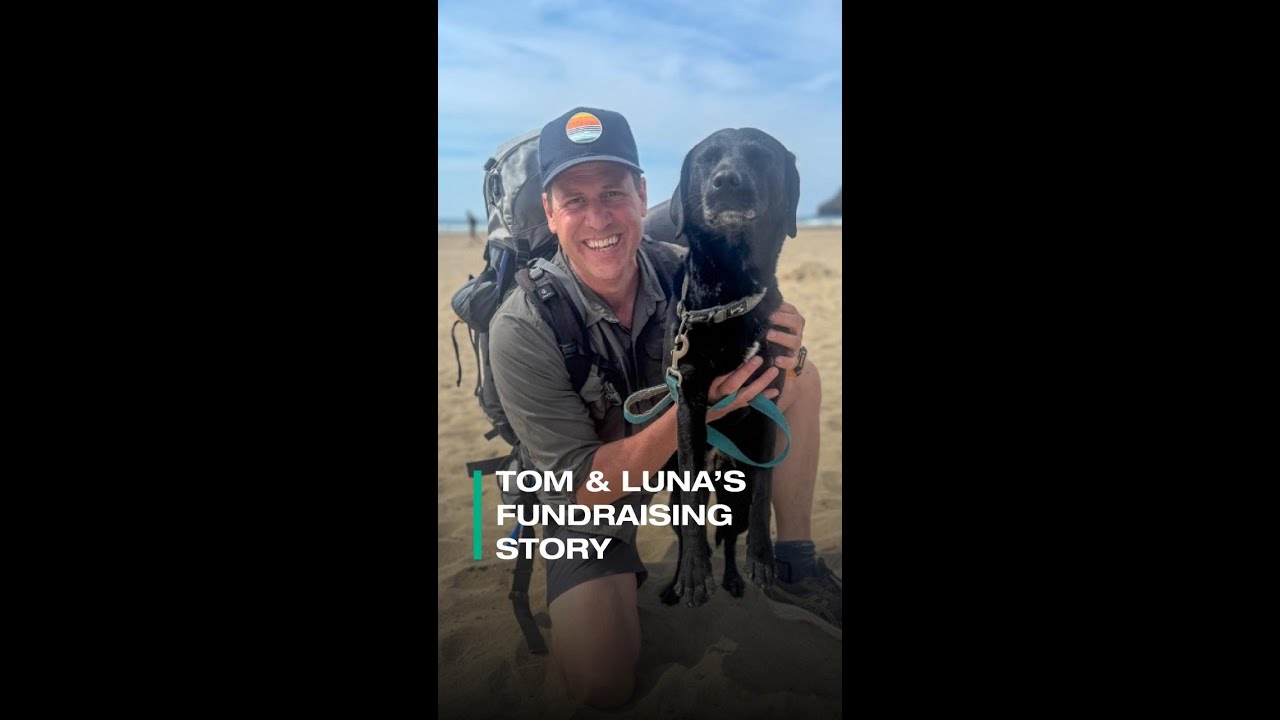 Luna the Labrador’s Coastal Adventure For ShelterBox