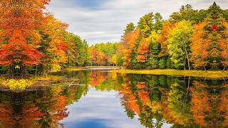 Beautiful October Autumn Forest 🍁 Peaceful Nature Sounds, Healing Music & Deep Relaxation