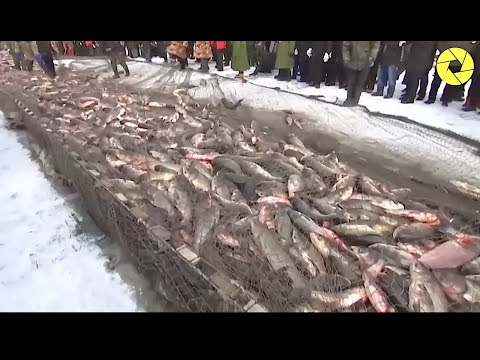 Big Net Fishing Catch On The Sea And In River Under Ice