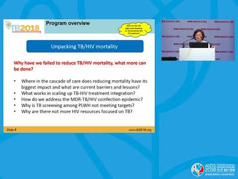 Setting the stage towards the UN High Level Meeting on TB