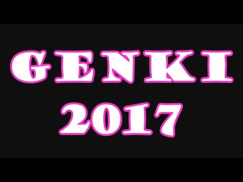 Genki 2017 // A quick look inside