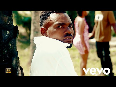 Mr Africa Tz - Niache Nilewe (Official Visualiser)