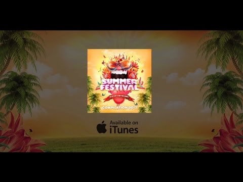 Summerfestival 2013 - The Compilation