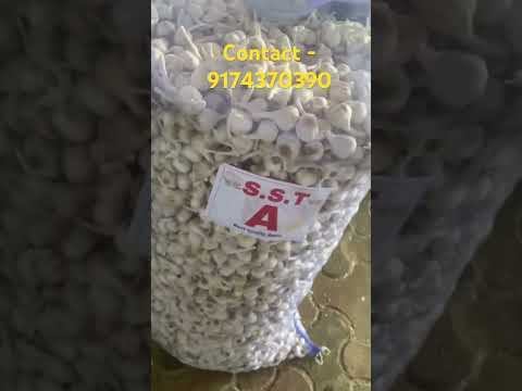 B grade fresh garlic medium size 25-28 mm, packaging type: n...