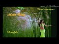 Swamp fire - Martin Denny.