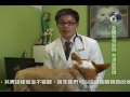 我把狗狗帶回家以後要注意什麼呢？ 