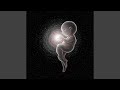 The Embryo of the Universe 02