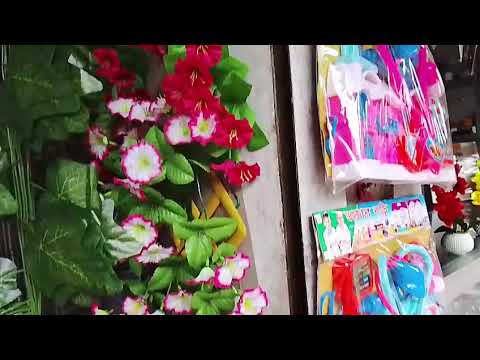 In today's video, I will show you Zarina's flower shop.