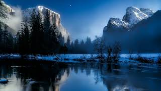 Scooter - Zebras Crossing The Street ( Dream, Trance, Hardtrance )