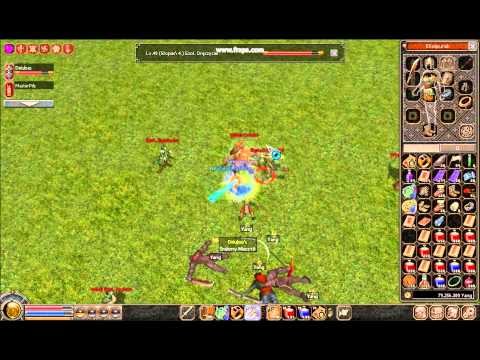 Metin2 PL Endurion Dziubas 35lvl vs Wódz Orków ( Boss) HD