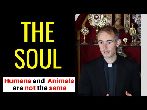 Do Animals have Souls? - Why Humans and Animals are Different