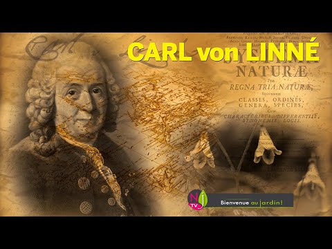 CARL VON LINNAEUS, THE GREAT NATURALIST WHO, IN THE 18TH CENTURY, NAMED AND CLASSIFIED EVERYTHING...