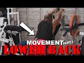Movement Part I: The LOWER BACK