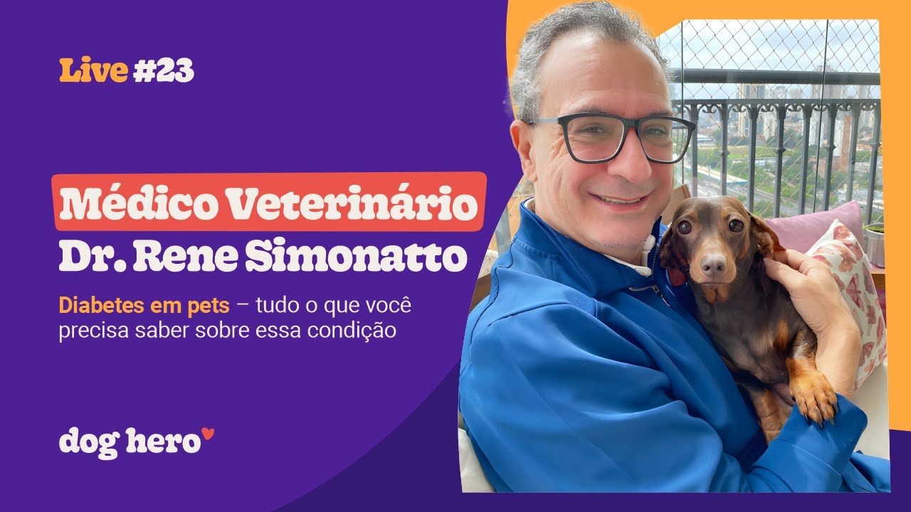 Diabetes em pets – tudo o que você precisa saber sobre essa condição | #LIVE23