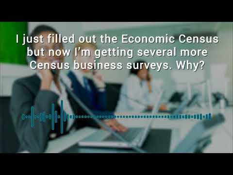 Who Knew? The Census Bureau Conducts Dozens of Business Surveys