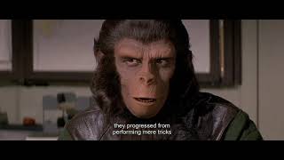 [Planet of the Apes 1971] How apes will rise